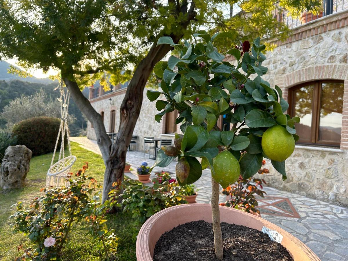 La Tenuta Dei Fiori Ferentillo Exterior photo